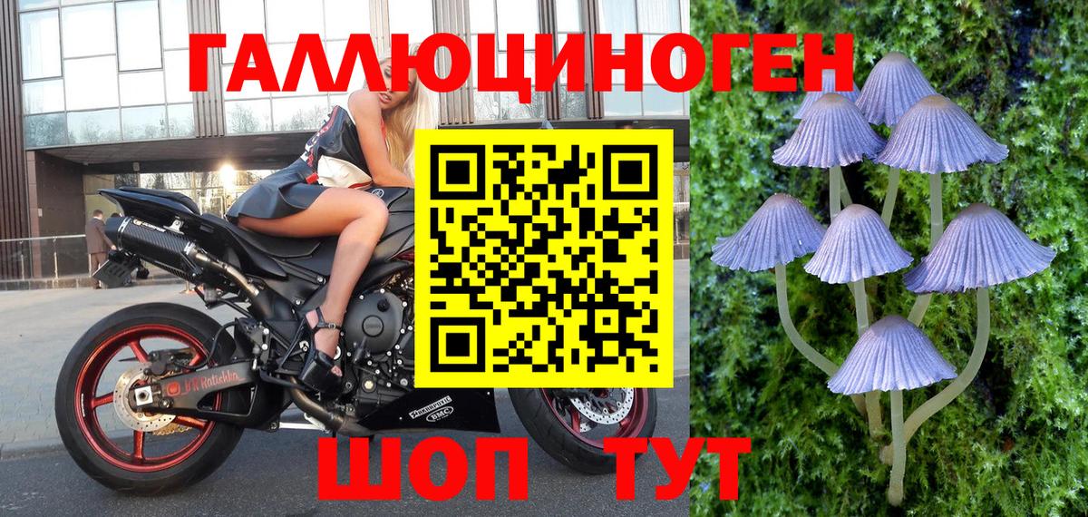 Малгобек  Галлюциногенные грибы мухоморы  Псилоцибиновые грибы MAGIC MUSHROOMS  Вход с VPN 